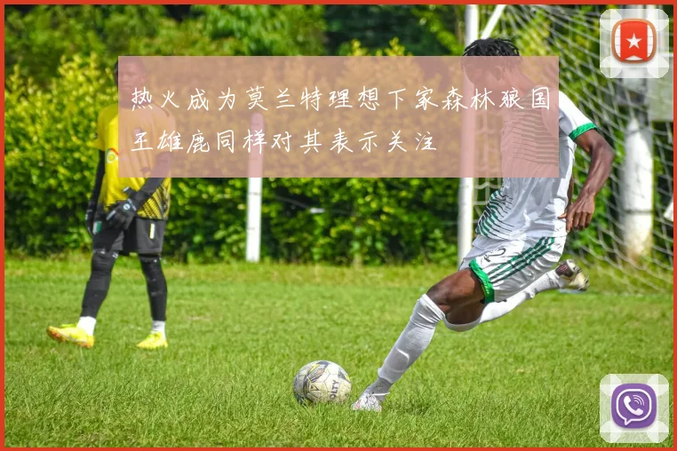 热火成为莫兰特理想下家森林狼国王雄鹿同样对其表示关注