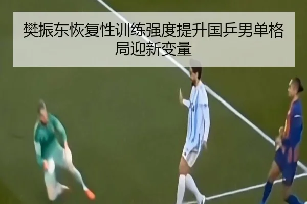 樊振东恢复性训练强度提升国乒男单格局迎新变量 | BOBSPORTS